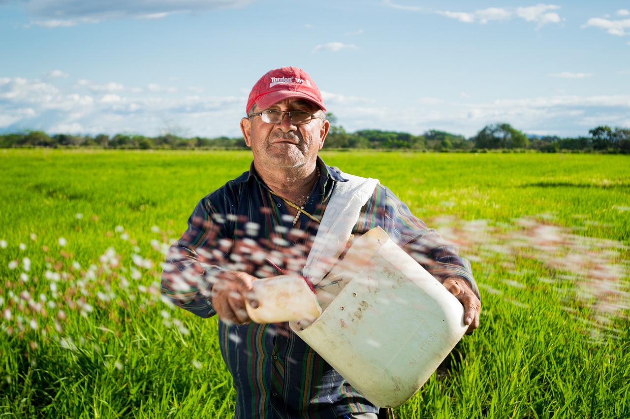 Los agricultores, son en su mayoría incapaces de beneficiarse de la subida de los precios de los alimentos, en gran parte porque los costes de los insumos, aumentan incluso más rápido que los precios de los productos básicos. Foto: Pixabay.