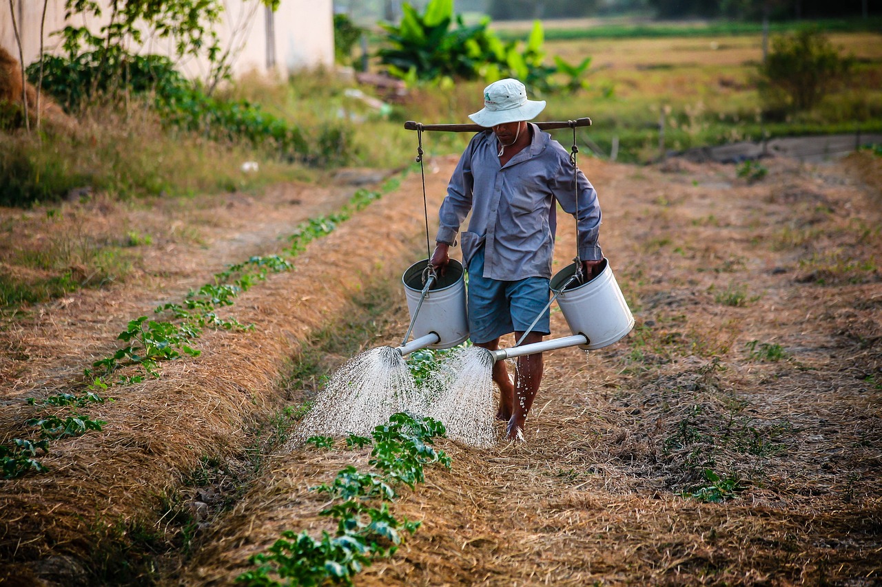 Un mayor apoyo mundial a programas que proporcionen financiación a estos agricultores sería de gran ayuda. Foto: Pixabay.