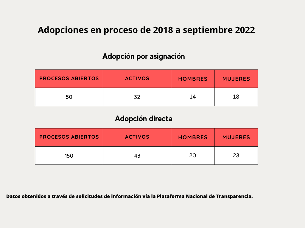 De 2018 a 2022, se iniciaron 200 adopciones, 150 fueron directas entre las familias.  Crédito: Claudia Victoria Arriaga Durán y Melva Frutos.