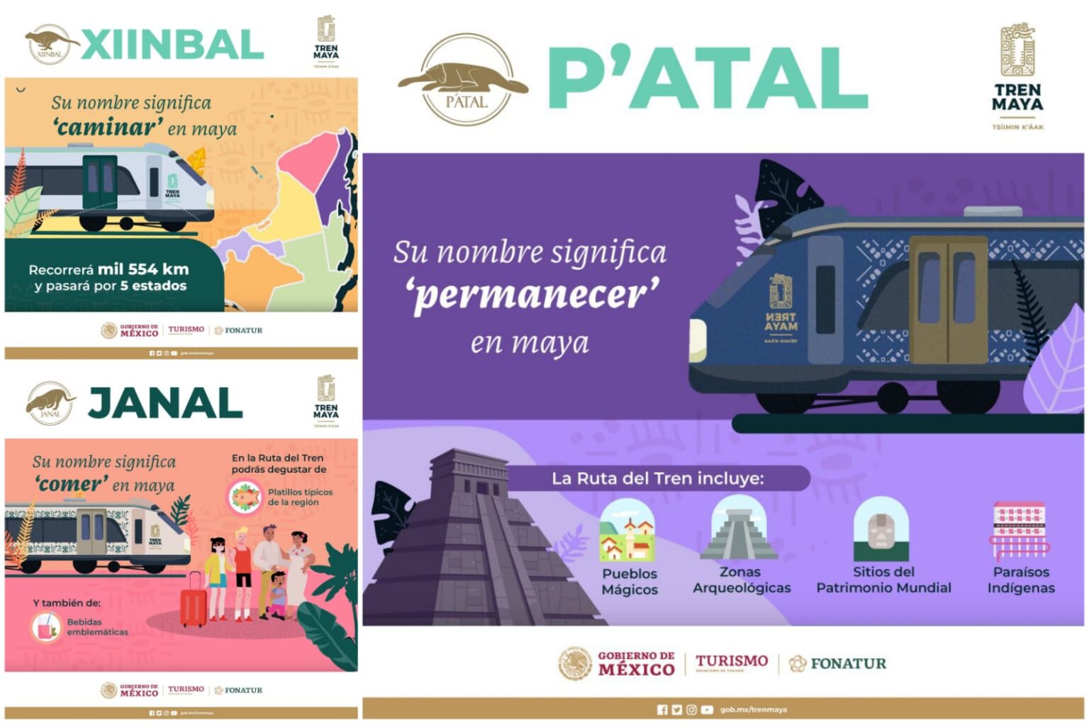 Viaja en el tren maya: conoce rutas, costos y más