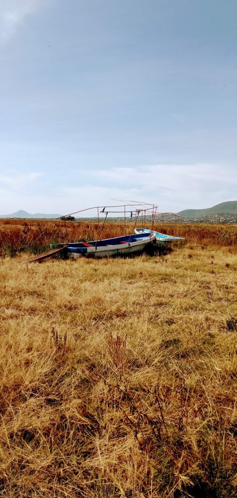 Laguna de Zumpango Fotos de antes y después DATANOTICIAS