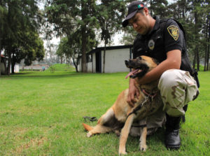 La brigada animal rescata perros y otros animales
