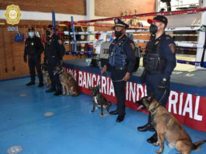 Los perros rescatados por policías reciben entrenamiento 