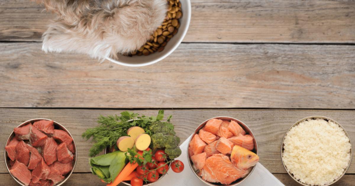 Alimentos-Comidas-saludables-para-perro