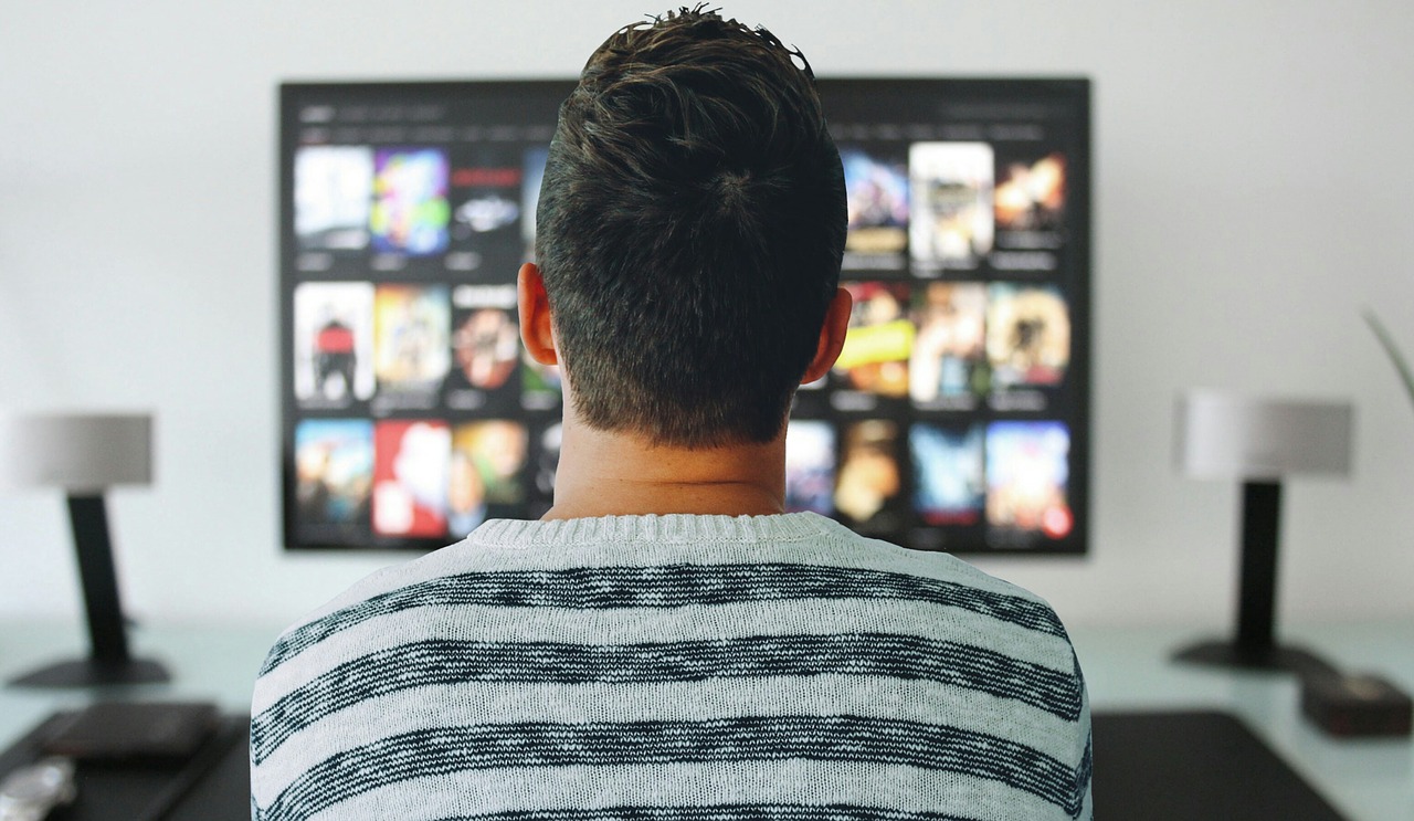 Tienes distintas opciones para ver tus series y películas favoritas | Foto: Pixabay