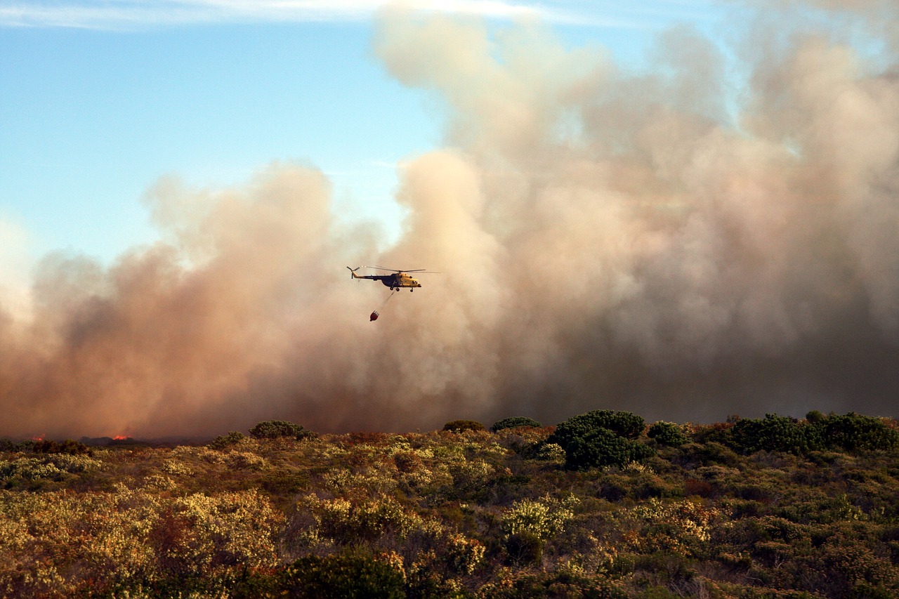 Los incendios forestales solo empeorarán | Foto: Pixabay 