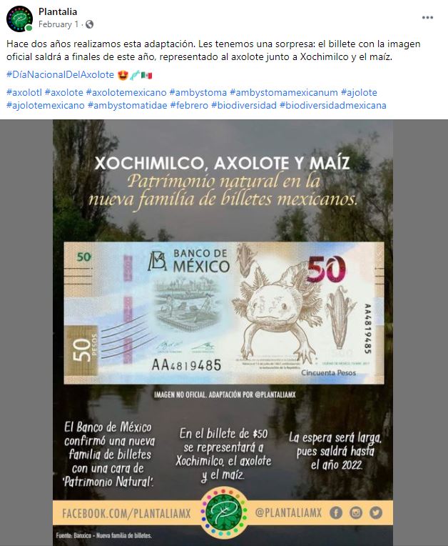 diseño nuevo billete de 20 pesos cocodrilo no es oficial 3