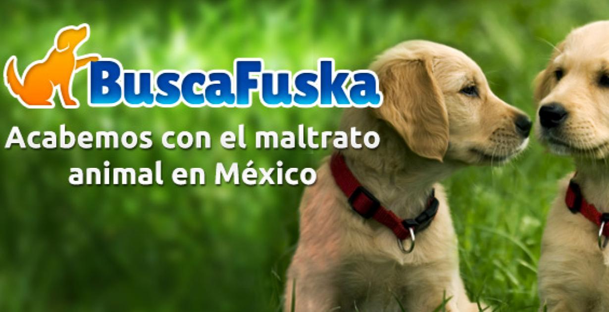 Buska-Fuska-lugares-donde-donar-ayudar-animales