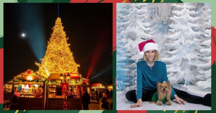 Villas iluminadas y ferias de Navidad para visitar en CDMX y Edomex portada