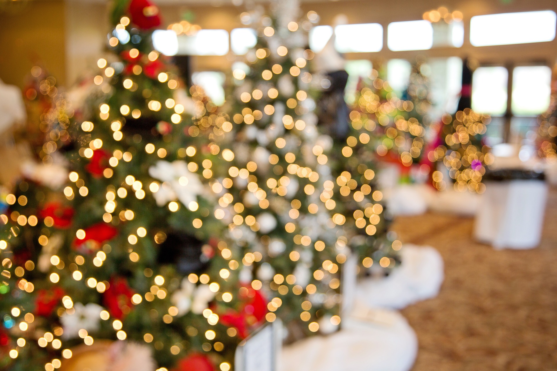 Las luces navideñas puedes usarlas para adornar tu árbol o tu casa en esta época | Foto: Pixabay