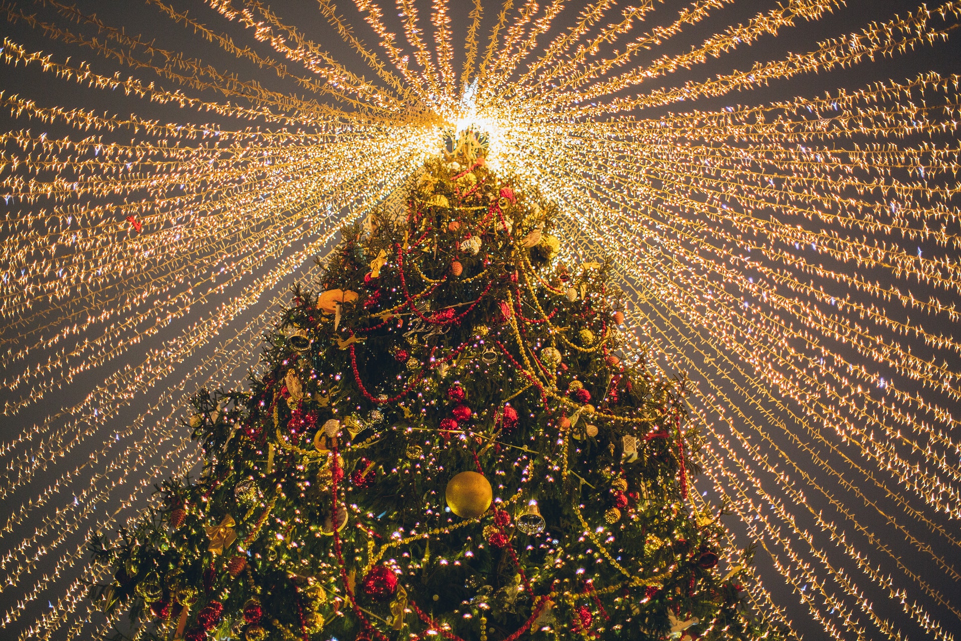 El Rockefeller Center es el árbol que inaugura la Navidad en EU | Foto: Pexels