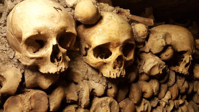 Los restos óseos sacados de las tumbas son vendidos para hacer rituales de esoterismo | Foto: Pixabay
