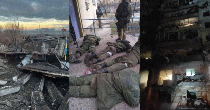 Rusia vs Ucrania Videos e imágenes reales de los estragos de la guerra portada