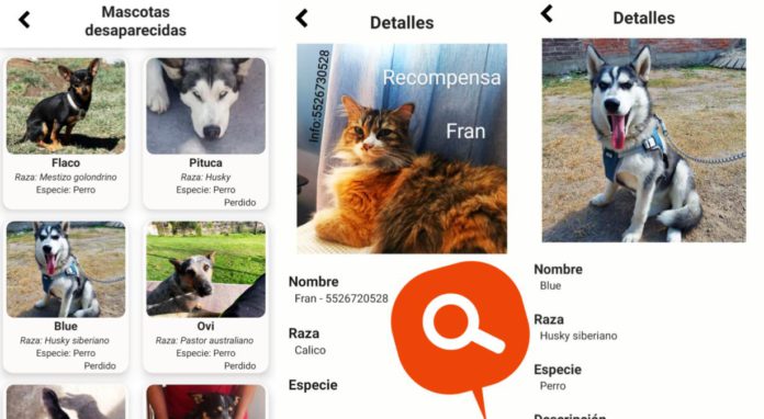 Alertex-app-buscar-mascotas-desaparecidas