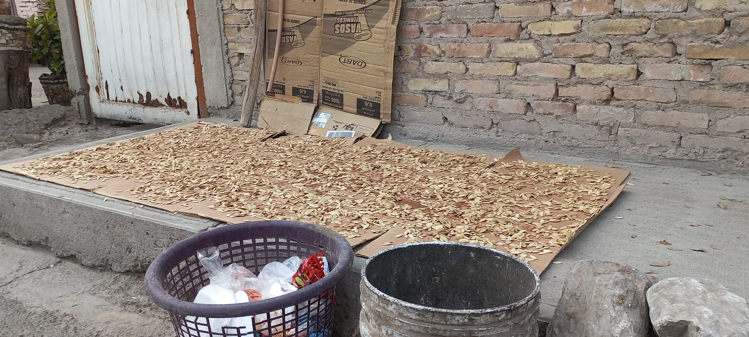 Es habitual ver a las mujeres secando semillas de calabaza que después venden en los cruceros. Crédito: Soledad Galván