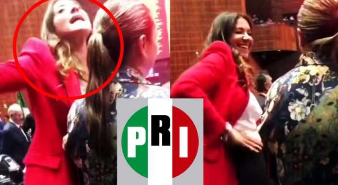 Soy-pluri-y-a-gusto-Diputada-PRI-Paloma-Sánchez