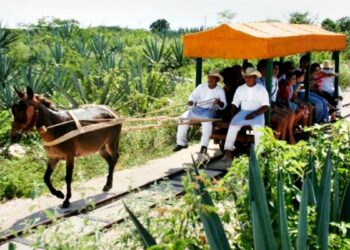 De acuerdo con la Secretaría de Turismo estatal, Yucatán cuenta con aproximadamente 300 haciendas, muchas de las cuales sin duda te robarán el aliento. Foto: Cortesía Sefotur.