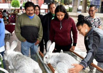 feria-regional-del-conejo-xochimilco-2022