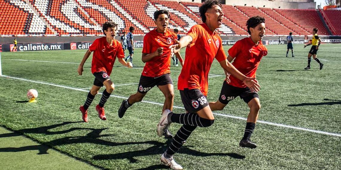 Visorias de equipos del futbol mexicano 2023. Cuándo y dónde se hacen