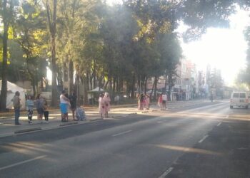 La mañana del domingo, varios capitalinos salieron al escuchar la alerta sísmica Foto: Twitter