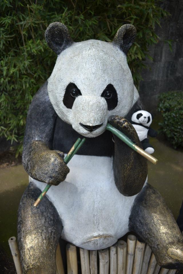 Xin Xin. La única oso panda mexicana que queda en el país pandas de chapultepec ok 6543