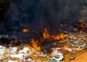 quemar basura es un delito cdmx edomex 2023 multa denuncia demanda vecinos portada