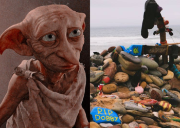 La tumba de Dobby estuvo a punto de provocar un desastre ambiental en Gales. FOTO: DataNoticias