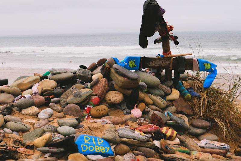 La tumba de Dobby puede ser visitada con la política de "no dejar huella" para preservar a las especies endémicas del lugar. FOTO: Wales Guidebook