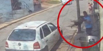 Pena máxima de 6 años por arrojar a perro de Tecámac a cazo hirviendo portada