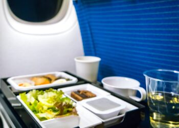 Puedo llevar comida en el avión