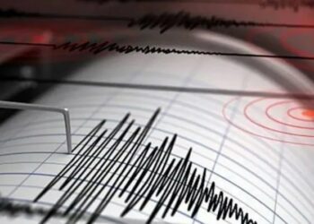 Reportan sismo en CDMX, ¿lo sentiste? FOTO: Gobierno de México