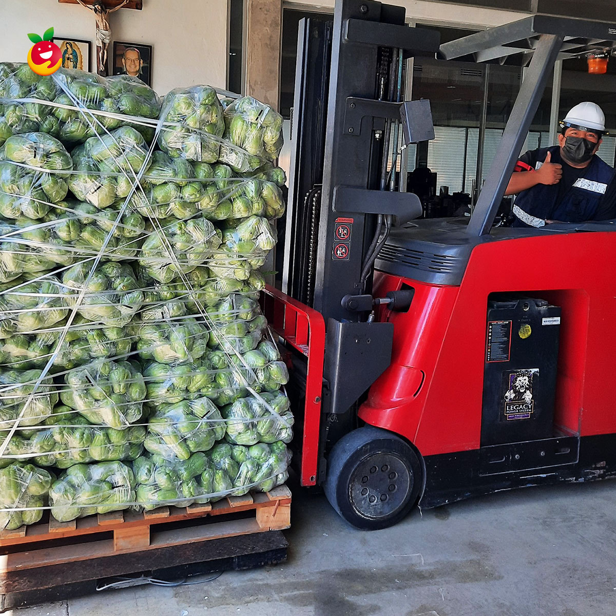 Cómo funcionan los bancos de alimentos y dónde encontrarlos DATANOTICIAS