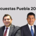 Encuestas Puebla 2024