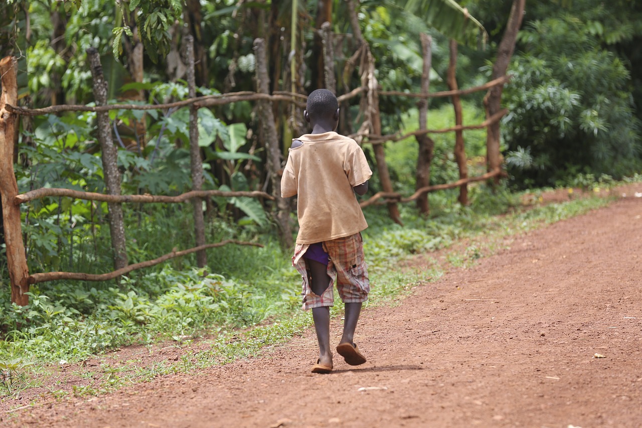 Uno de cada cinco africanos —aproximadamente  260 millones de personas , en su mayoría en zonas rurales— pasa hambre. Foto: Pixabay.