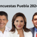 Encuestas Puebla 2024