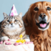 En los últimos año se han implementado curso para la elaboración de repostería para perro y gato.
Imagen: Bing Images Create.