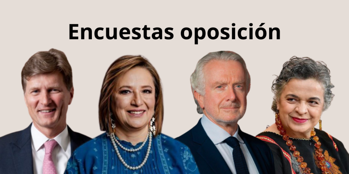 Encuestas presidenciales 2024. Así van los candidatos del Frente Amplio