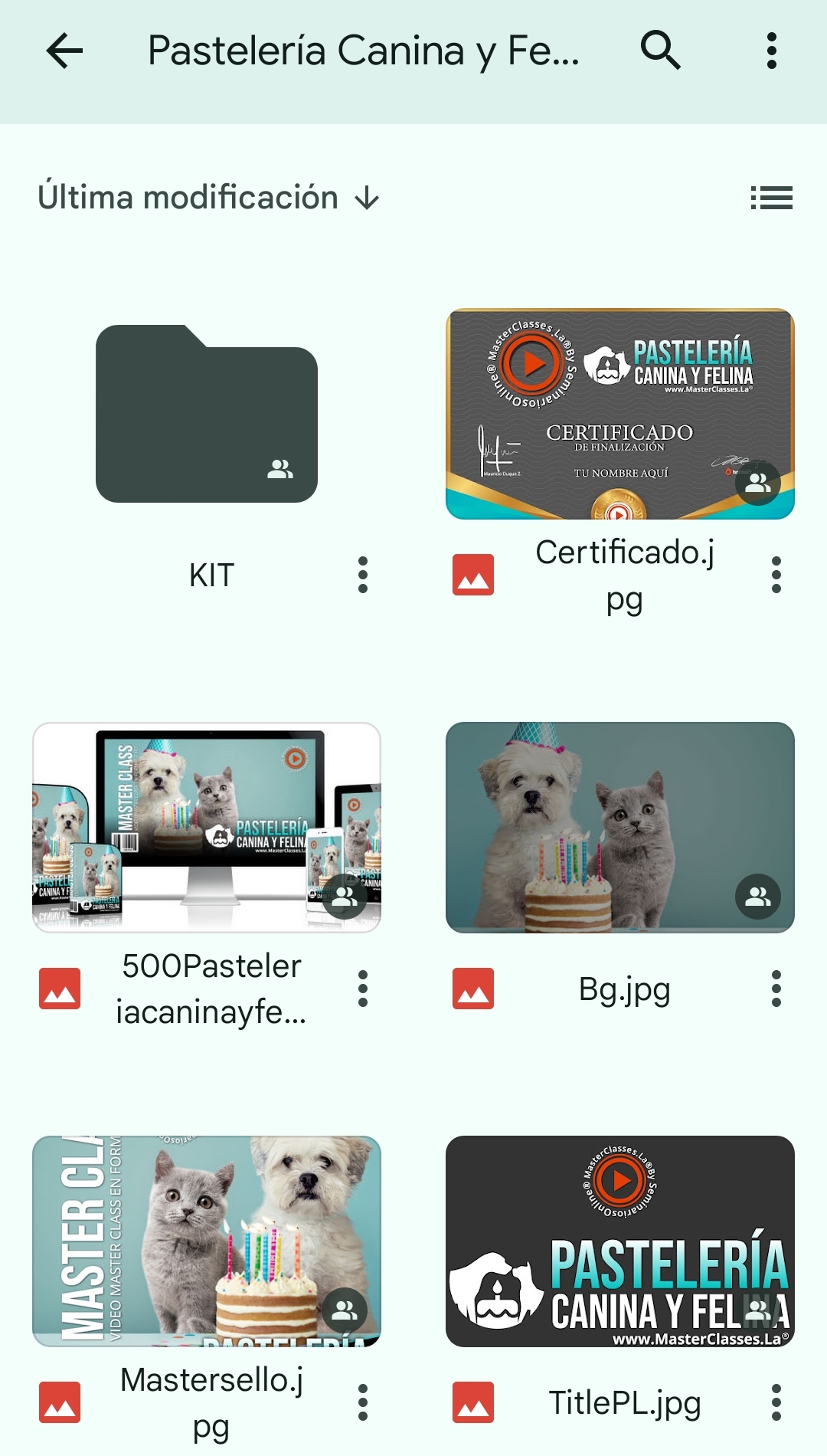 Los materiales promocionales del curso repostería para perros y gatos puede descargarse a través de Internet y ser utilizados por cualquier persona. Imagen: Captura de pantalla.