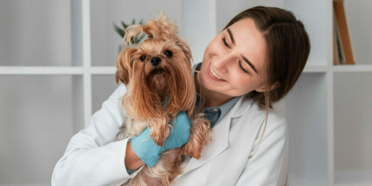 5 hospitales gratis para mascotas en CDMX