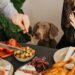 Alimentos que no pueden comer los perros.