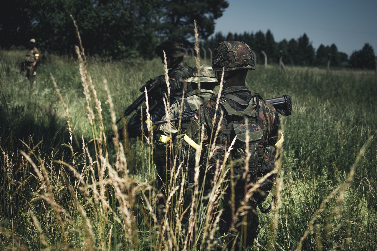 Polonia también cuenta con la ayuda de la Unión Europea, donde cada vez hay más conciencia de la amenaza rusa. Dado que la frontera de Polonia con Rusia y Bielorrusia es también la frontera oriental de la UE, tiene sentido que se proteja mediante esfuerzos conjuntos de la UE. Foto: Pixabay.