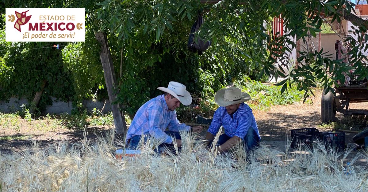 apoyos-para-el-campo-edomex-lista-de-programas