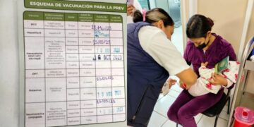 cartilla-de-vacunacion-2024-como-descargarla-gratis