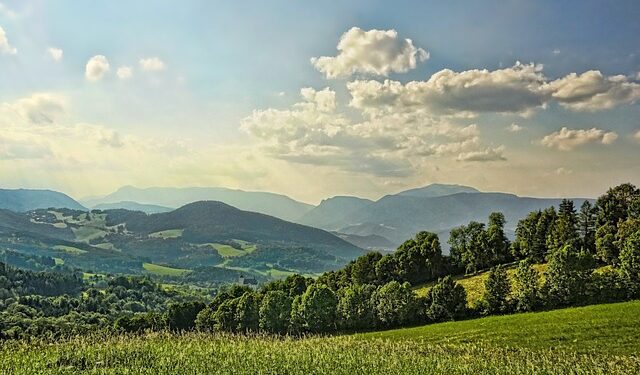 Los líderes mundiales deben aprovechar este momento para crear una agenda de inversiones transformadora que reconozca que, sin la naturaleza, nuestro planeta, y mucho menos nuestras economías, no pueden sobrevivir. Foto: Pixabay.