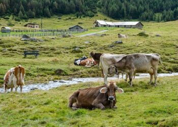 Necesitamos con urgencia reducir el flujo de financiación para actividades que sean nocivas para la naturaleza. Es algo central para superar la triple crisis planetaria del cambio climático, la contaminación y la pérdida de biodiversidad. Foto: Pixabay.